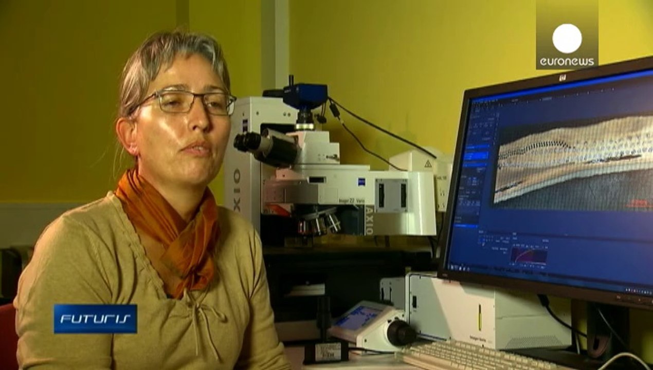 Des pneus de poids lourds plus verts !