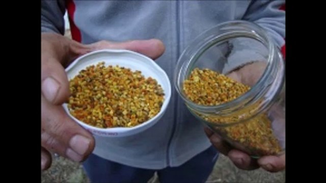 ARI ÜRÜNLERİ KULLANMAK DOĞAL ve İLAHİ BİR SAĞLIK KORUMA YÖNTEMİDİR