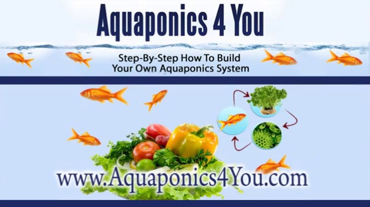aquaponics system