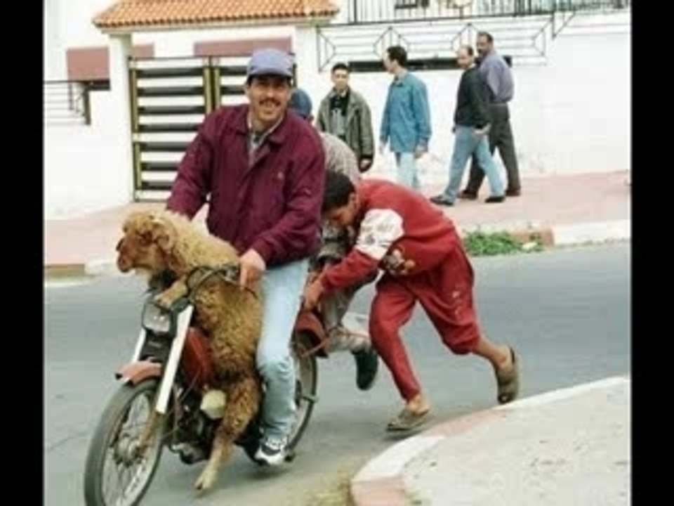 A Sidi Abderrah'man