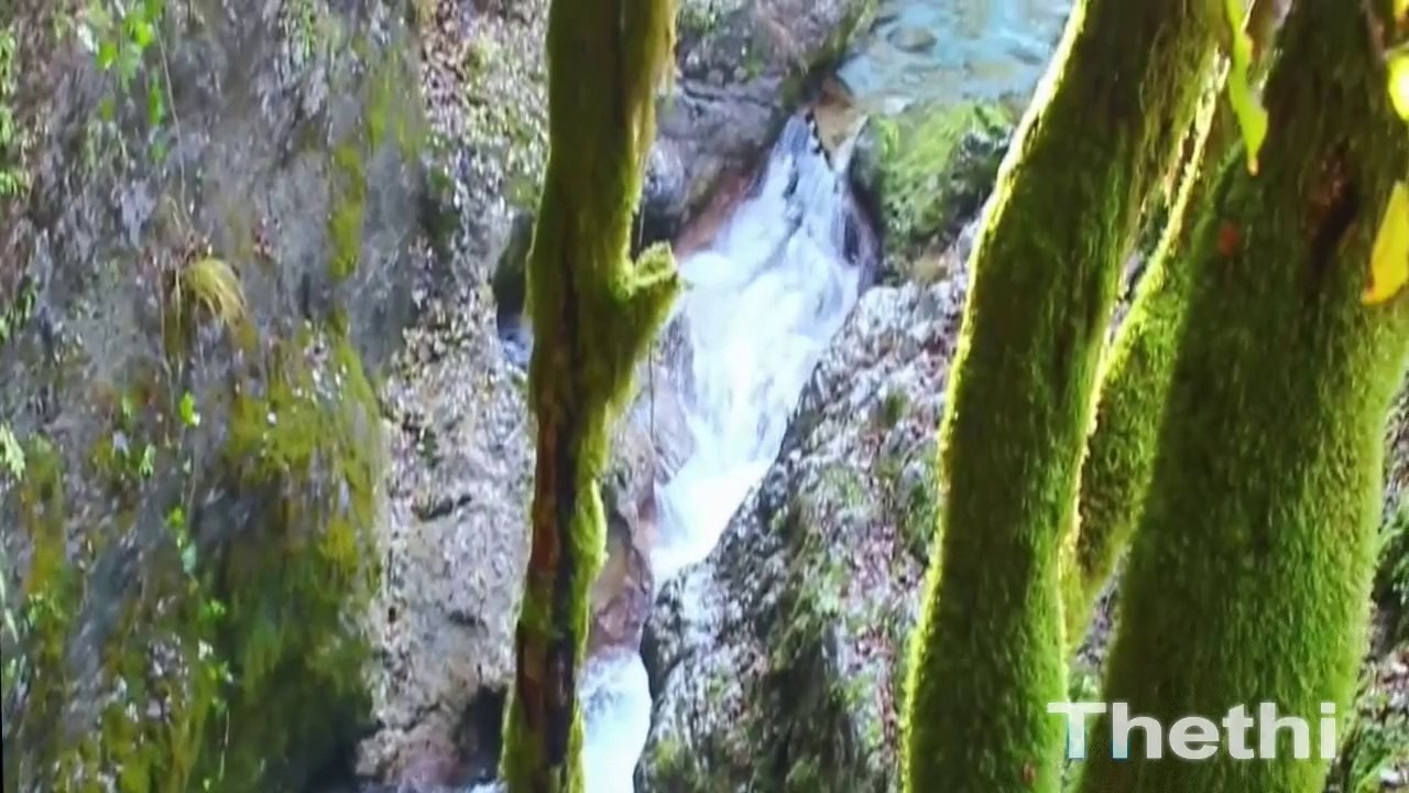 National Environment