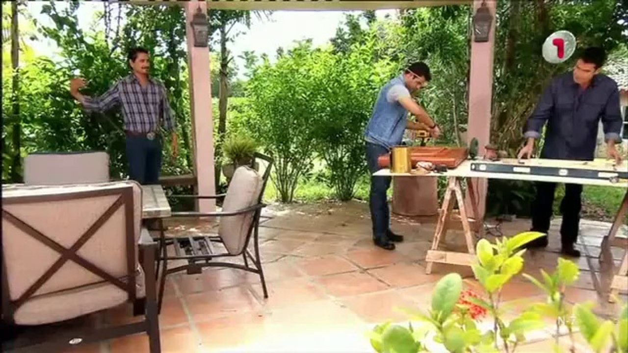 Talismanas 81