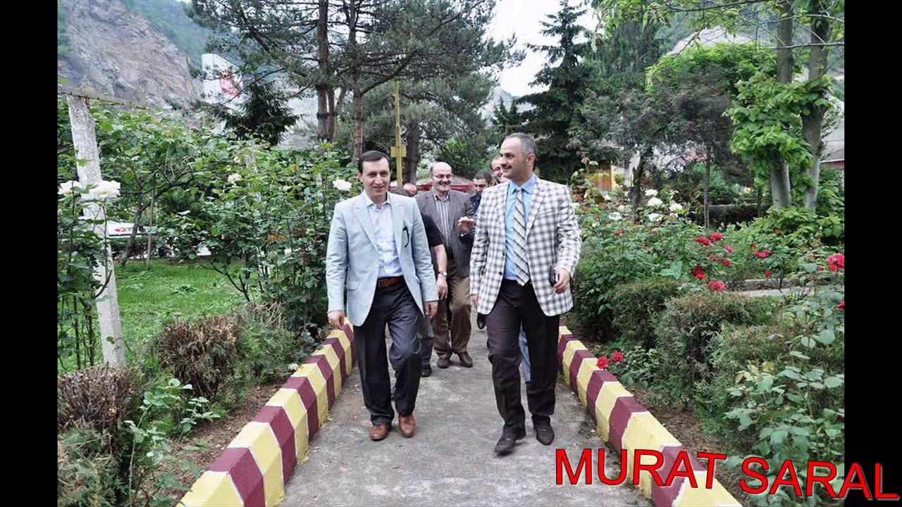 Murat saral