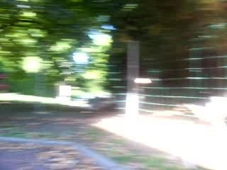 Canards, cônnards ! xD