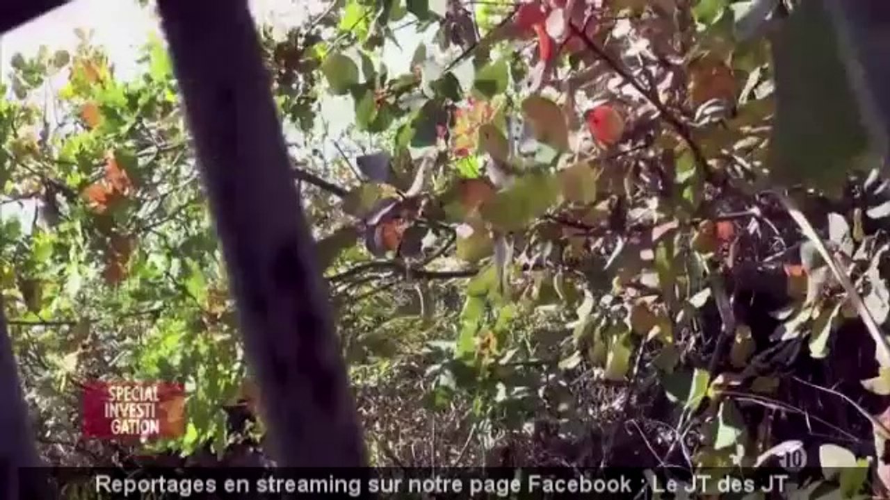 La fortune cachée de Poutine 2-2