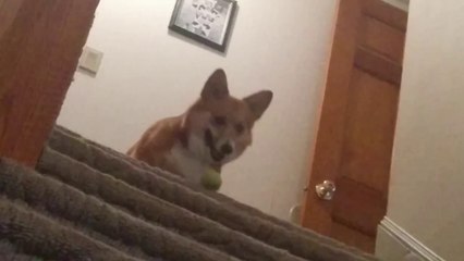 Watson Playing Catch