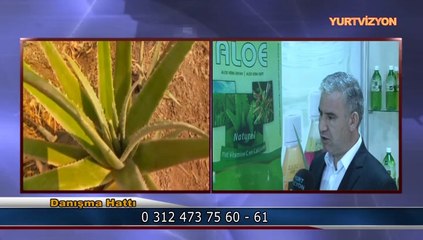 YURTVİZYON TGRT SİNEL GRUP