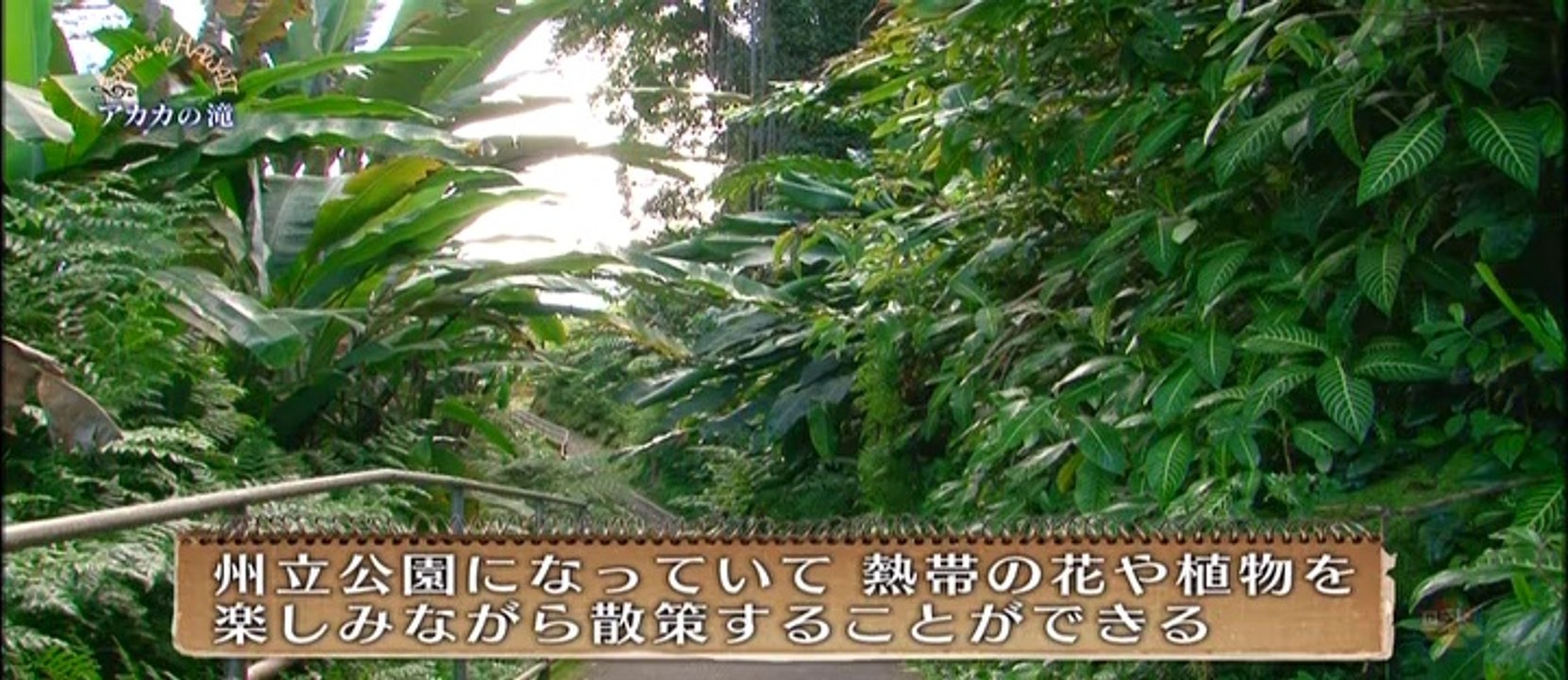 ジェイク