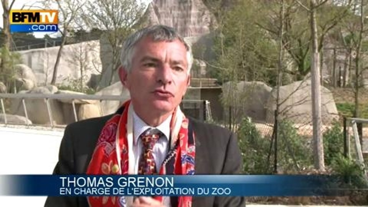Le zoo de Vincennes rouvre ses portes au public - 12/04