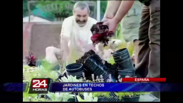 España: singular iniciativa convierte buses en jardines rodantes