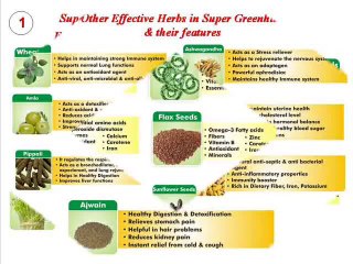Herbal super greenhills