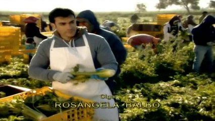 Entrada La Fuerza Del Destino