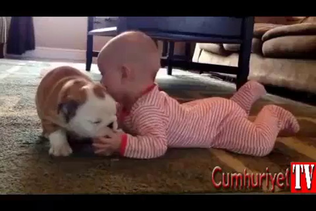 Yavru köpekten bebeğe öpücük