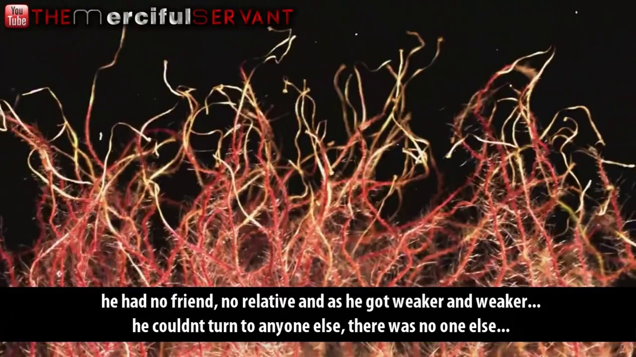 The Repenter ᴴᴰ ┇ Emotional ┇ The Daily Reminder ShazUK (Every Breath we take is a Breath Closer to Death Lets Try To Please Allah Ameen