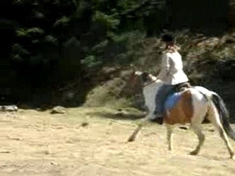 Ane-lor o galop