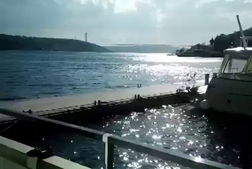 Yerinde Köpüklü Halı Yıkama Makinası - Rana Grup