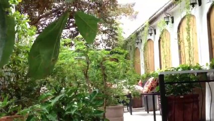 Caphe buỗi sáng..