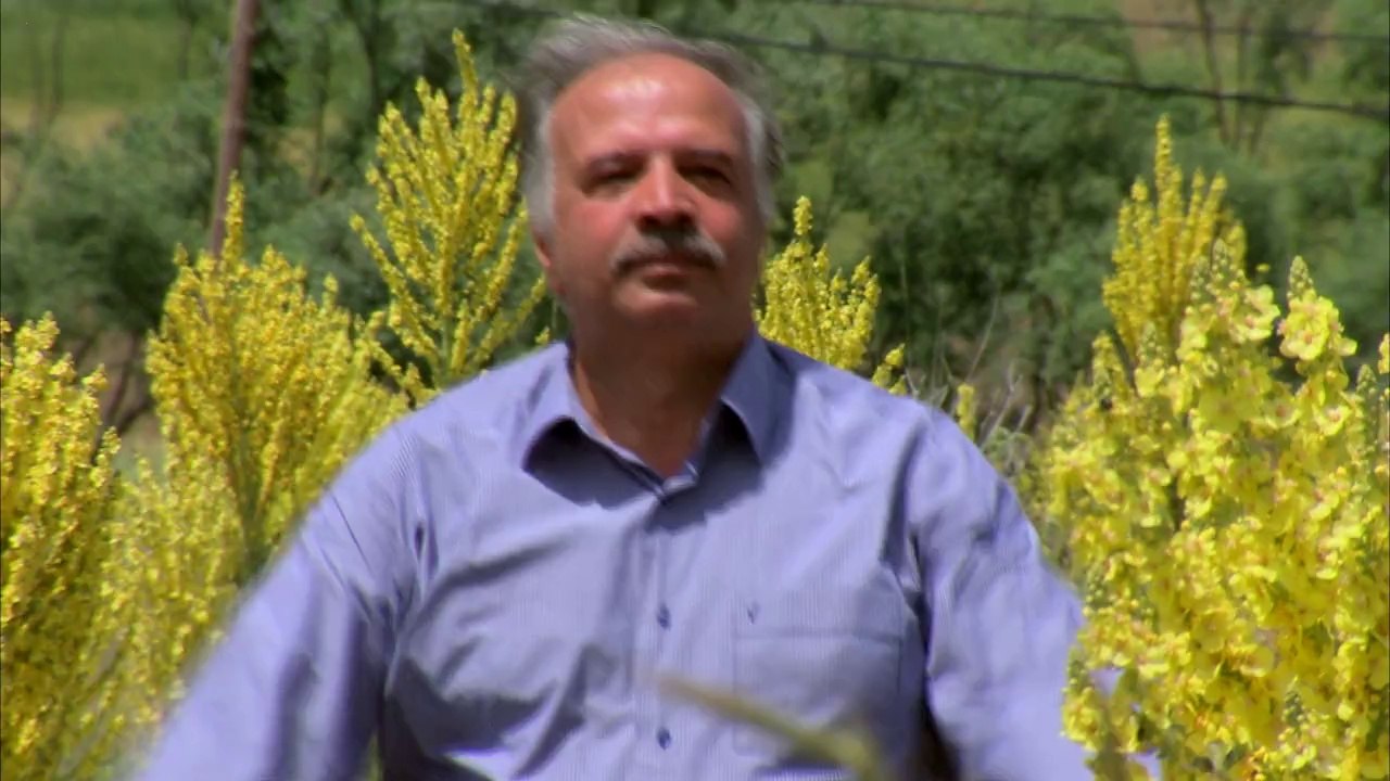 Mahmut Polat - Yaylanın Çimeni ( Video Klip )