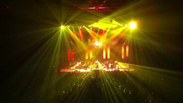 LES MAINS D'OR LAVILLIERS ZENITH DE PAU 10 AVRIL 2014