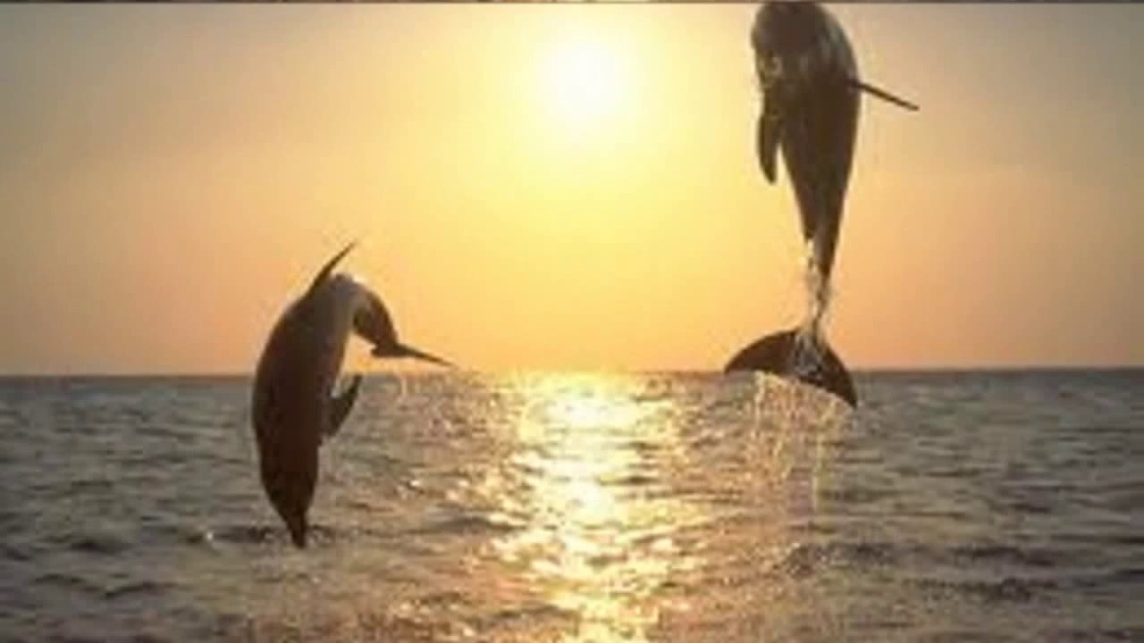 Ümit Yaşar Oğuzcan - Ayrılanlar İçin(Zülküf BAŞ)