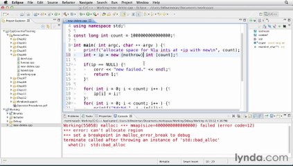 15-Working with the new and delete operators