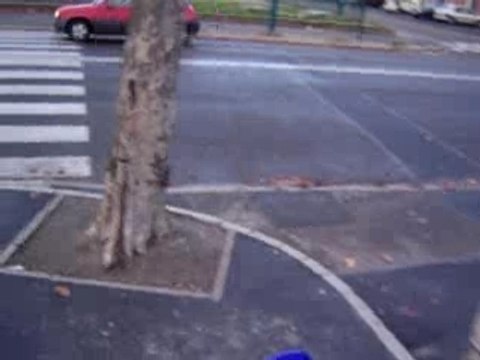 MAFIA CROSS COURTILLIERES 024