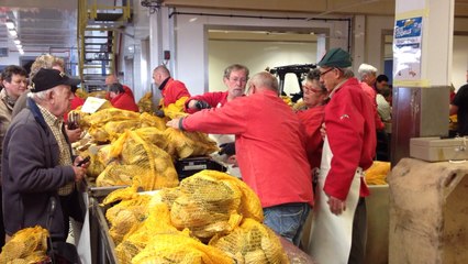 Fête de la Coquille