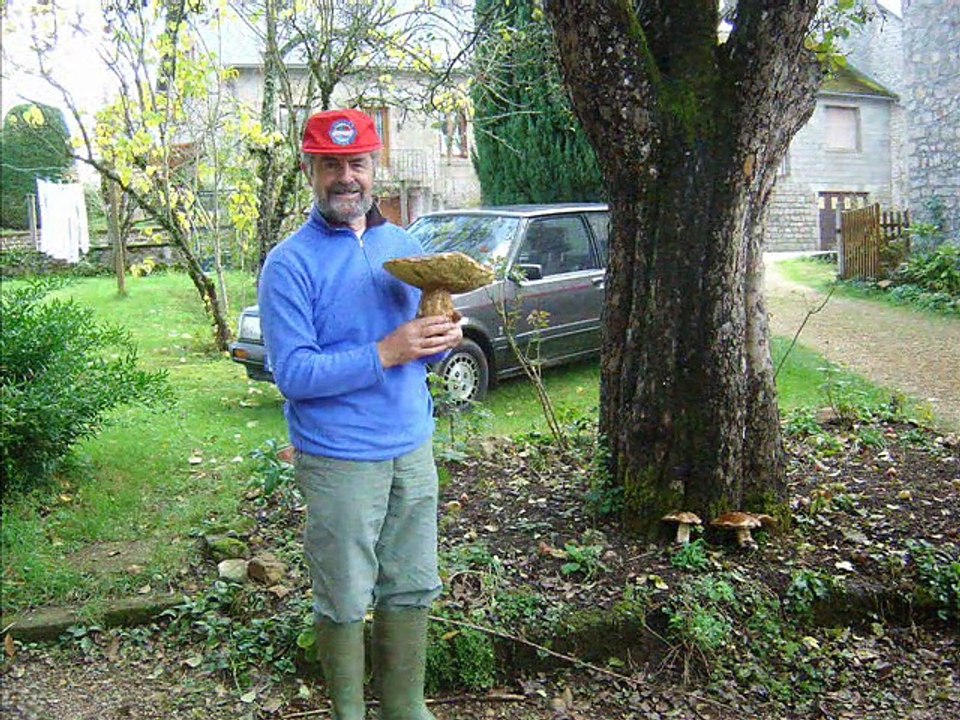 L'or de nos forêts_0001