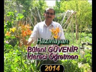 Bolvadin Atatürk ilkokulu Öğrencileri Fotoğraf  Animasyon