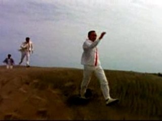 UNITED FUTURE ORGANIZATION - GOOD LUCK SHORE