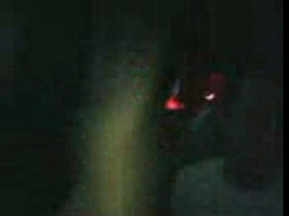 VID010