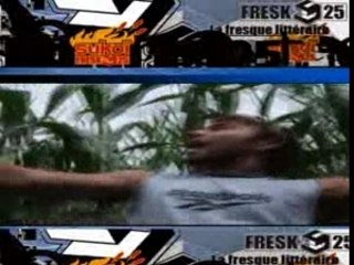 FUN VIDEO FRESK READERS SERIES