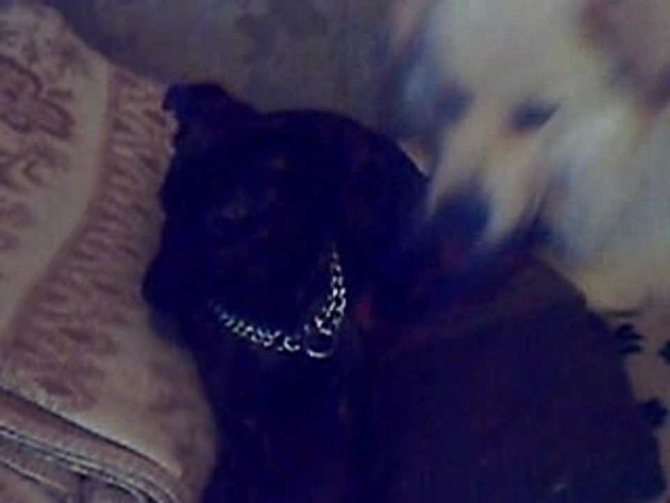 Ein Herz und eine Seele