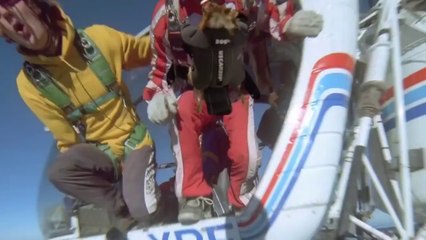 Tavuğa Kamera Takarak Görüntü Almak.. Hiç Fena Değil!