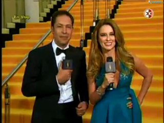 premios tvynovelas 2014: alfombra amarilla pt3