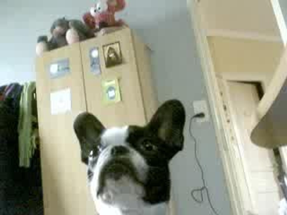 Webcam pere noel