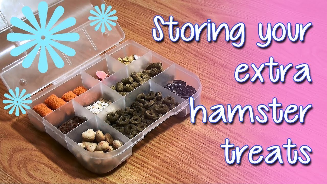 Storing Your Extra Hamster Treats