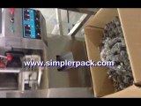 ZH-SJB automatic nylon triangle teabag packing machine - European customer choice!