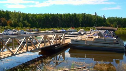 Around Spruce Point Marina.