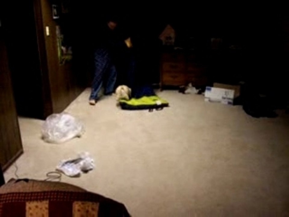 Pug Chasing Sleeping Bag