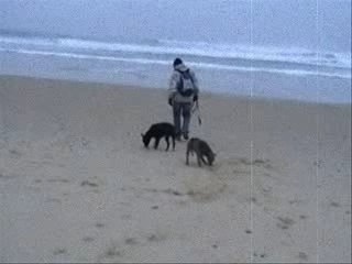 Lacanau plage (spécial noel)