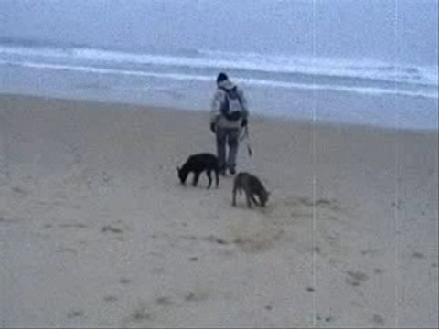 Lacanau plage (spécial noel)