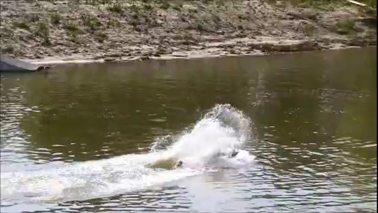 Embarrassing Wakeboard Wipe Out