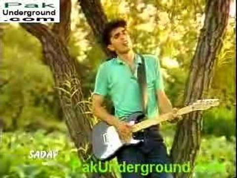 Vital Signs Dil Dil Pakistan