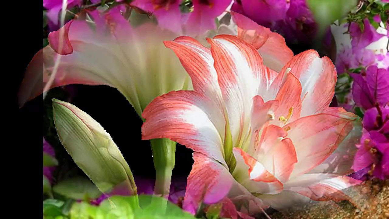 Have a nıce day...