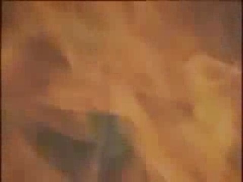 Iamthe onlygayin this village