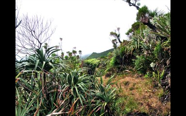 20 juillet 2010 Boucle Tremblet-Takamaka en solitaire -Écran
