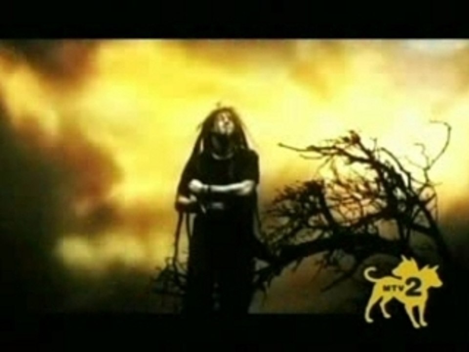 shadows fall-in effigy