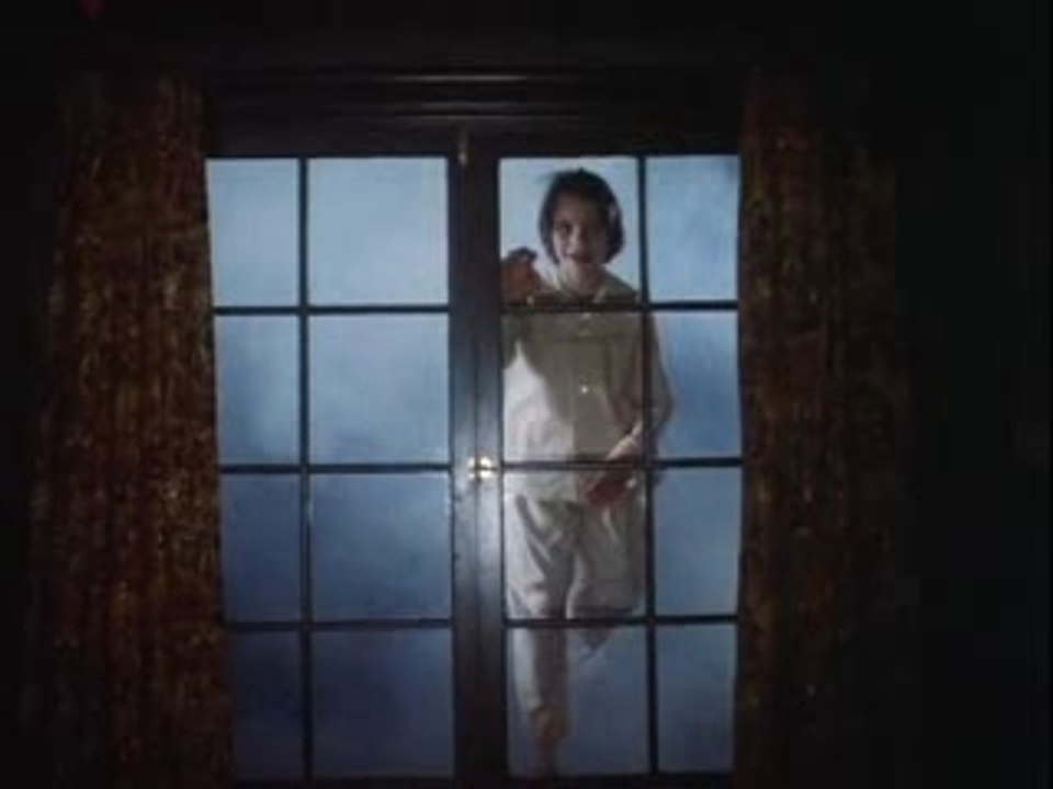 salem's lot : le vampire à la fenêtre.