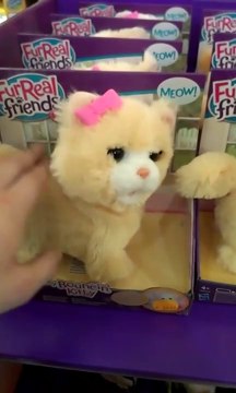 Un jouet Chat possédé! Trop marrant!